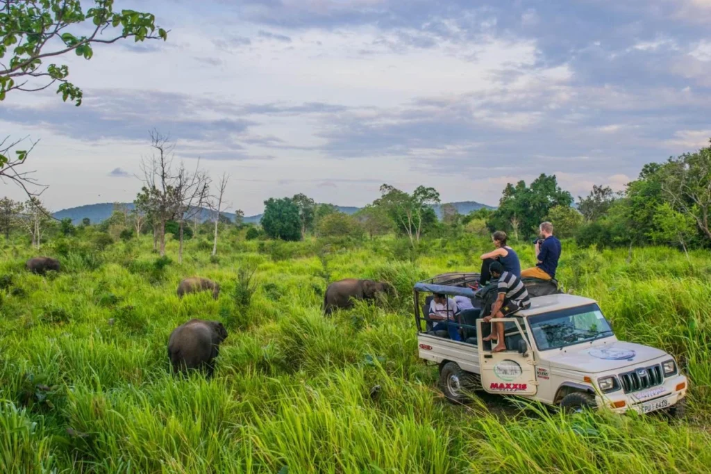 Habarana Eco Park Lodge